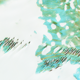 液相色谱环境检测应用