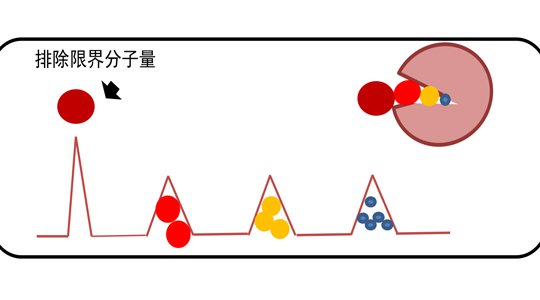 凝胶净化解决方案