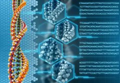 解密生命的物质基础——蛋白质