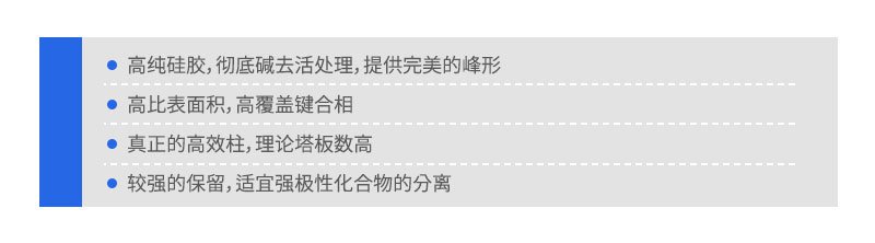 BETASIL填料分析柱特点