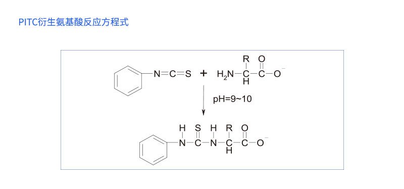 PITC衍生氨基酸反应方程式