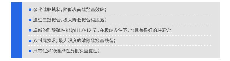 SinoPak BEH填料UHPLC色谱柱系列