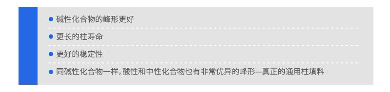 Hypersil BDS填料UHPLC色谱柱系列