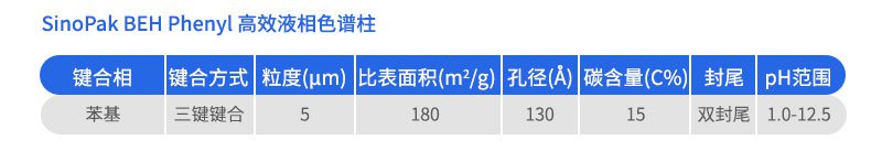 SinoPak BEH Phenyl 高效液相色谱柱