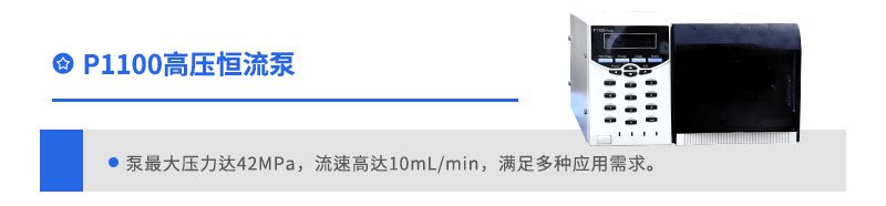 P1100高压恒流泵