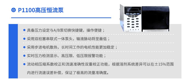 P1100高压恒流泵