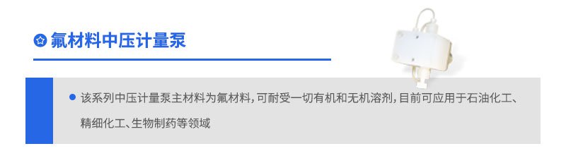 氟材料中压计量泵