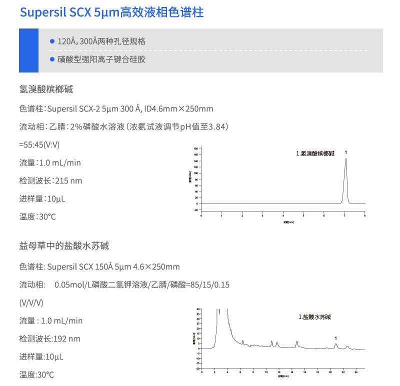 Supersil SCX 高效液相色谱柱