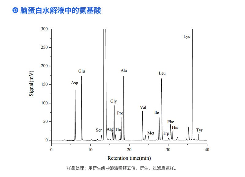 脑蛋白水解液中的氨基酸