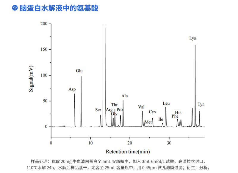 脑蛋白水解液中的氨基酸